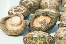 Dried Shiitake Mushroom _Dried Shiitake Chinese Mushroom _Sh